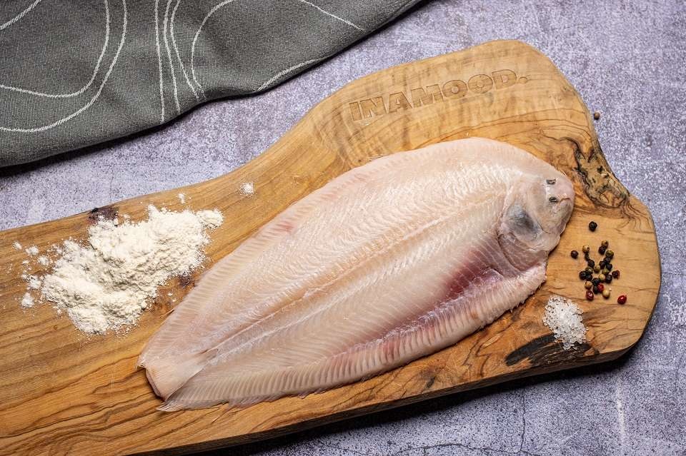 noordzee tong inamood